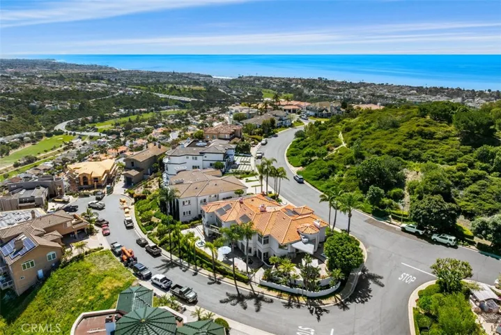 Areal view of house and lot location.  One of the few houses that has this much outdoor usable space.