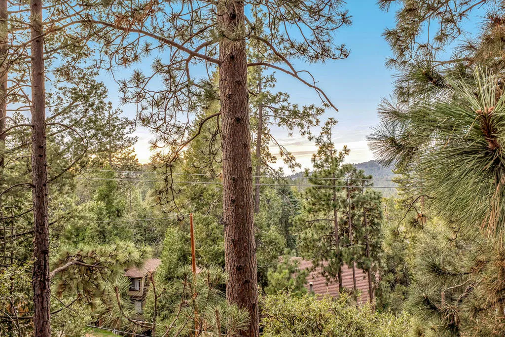 26620 Crestview Drive, Idyllwild, California 92549 home-pic-32
