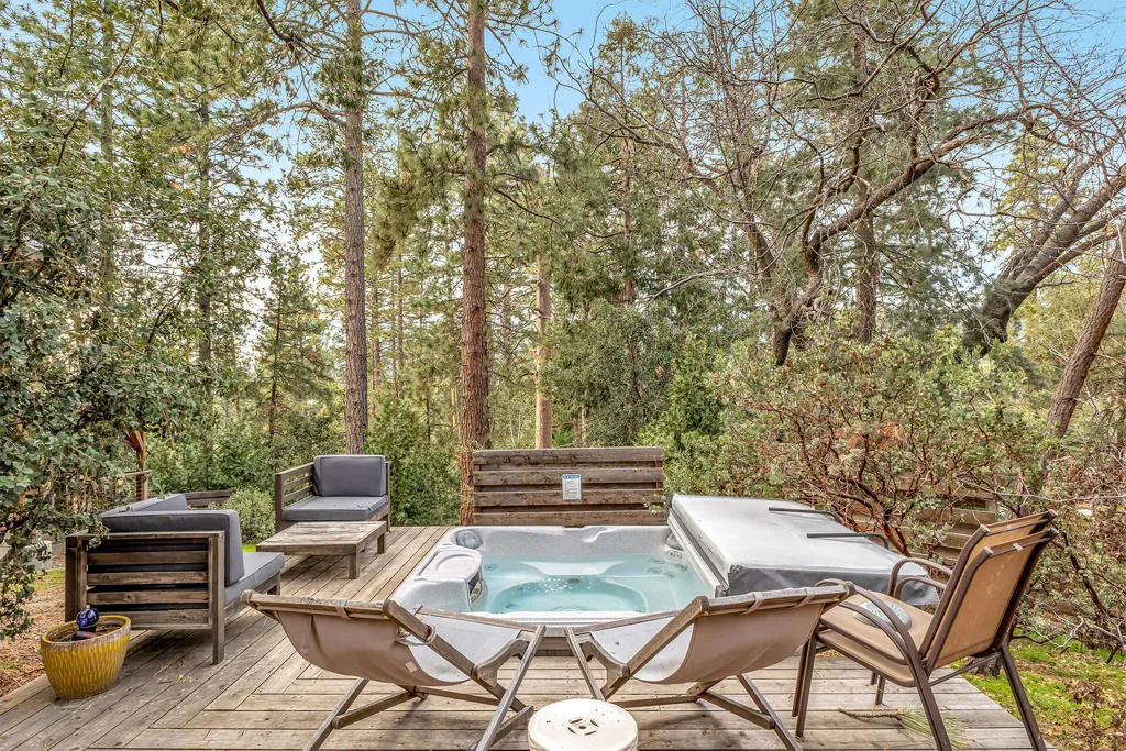 26620 Crestview Drive, Idyllwild, California 92549 home-pic-5