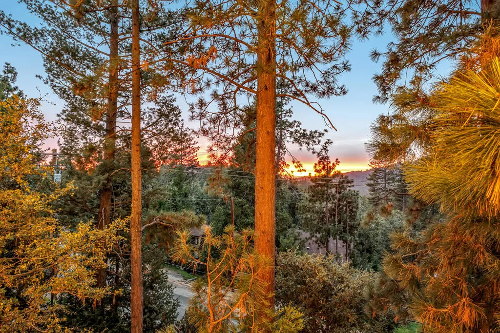 26620 Crestview Drive, Idyllwild, California 92549 home-pic-2