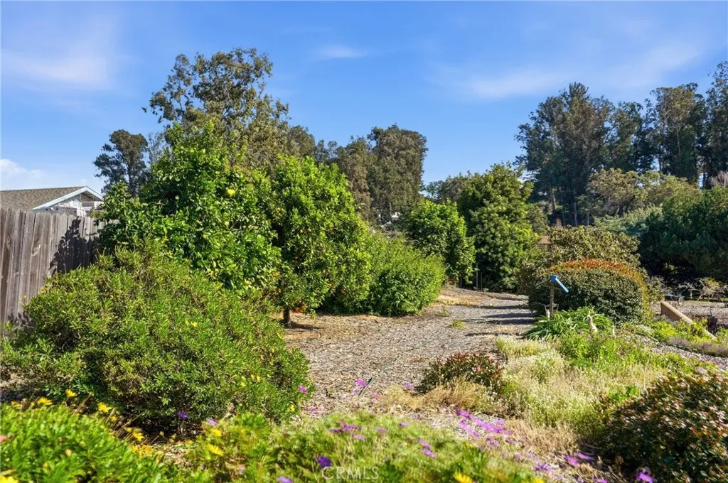 745 Inga, Nipomo, California 93444 home-pic-41