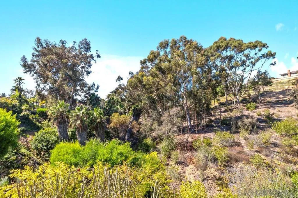 3426 Millikin Ave, San Diego, California 92122 home-pic-24