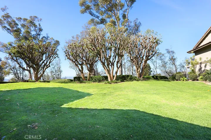 This grassy area is across the street from the house and overlooks Anaheim Hills towards Yorba Linda. It's a fantastic view.