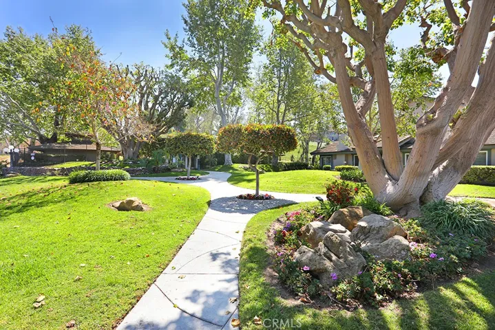 Beautiful landscaping surrounds the Galerie homes.