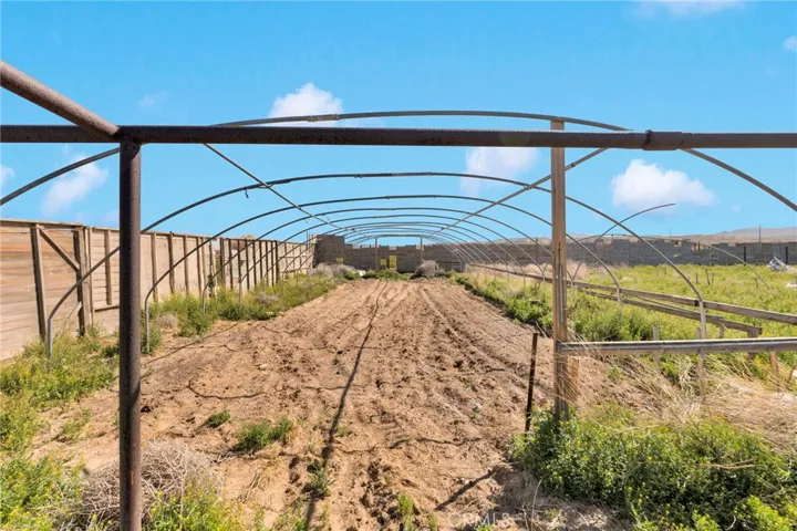 FERTILE LAND