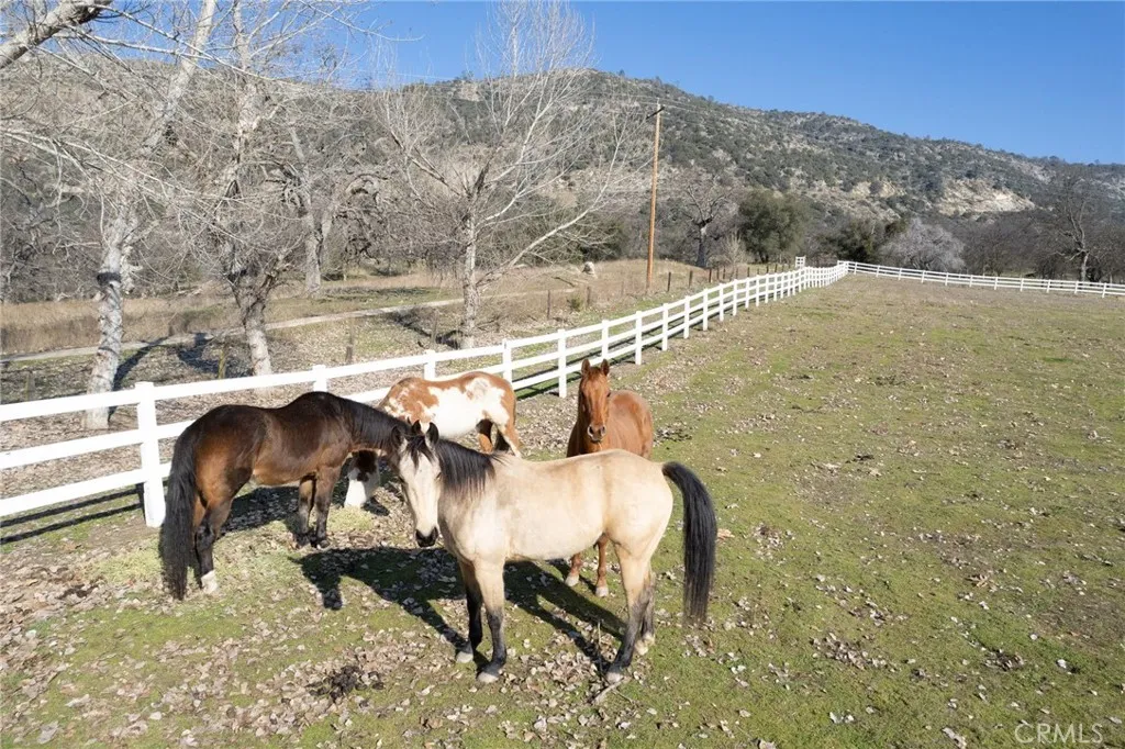 36039 Cranmore Ln., Auberry, California 93602 home-pic-11
