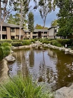 20702 N El Toro, Lake Forest, California 92630 home-pic-5