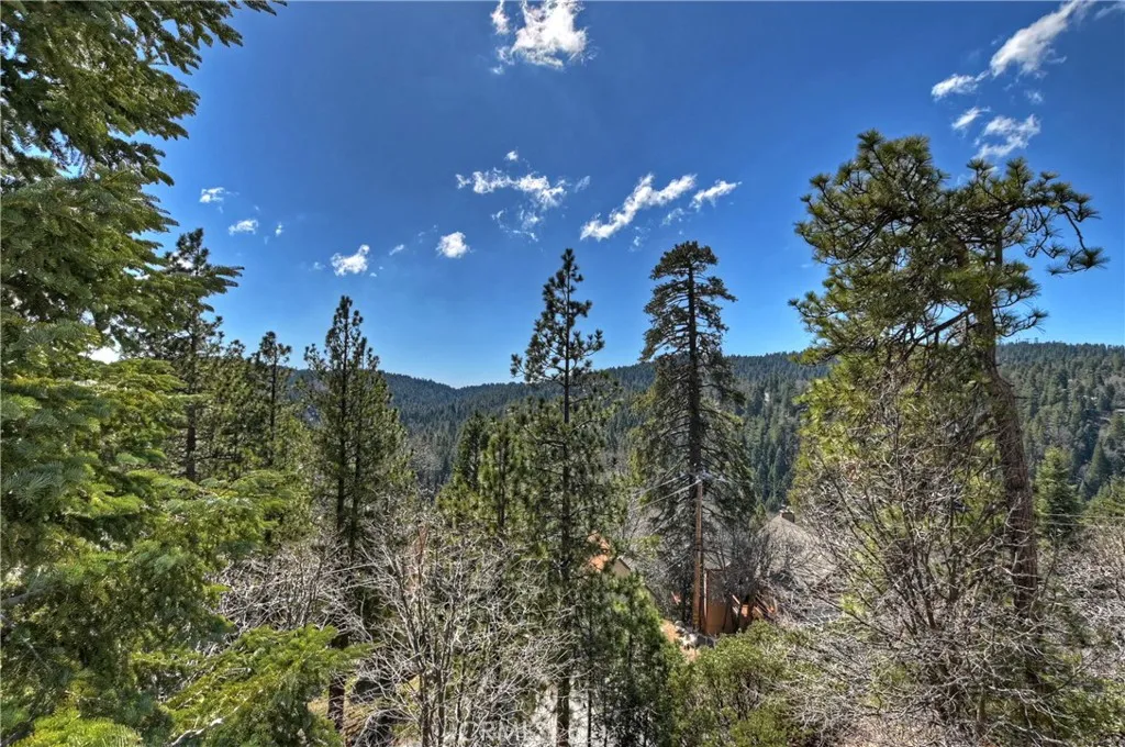 26520 Walnut Hills Drive, Lake Arrowhead, California 92352 home-pic-32