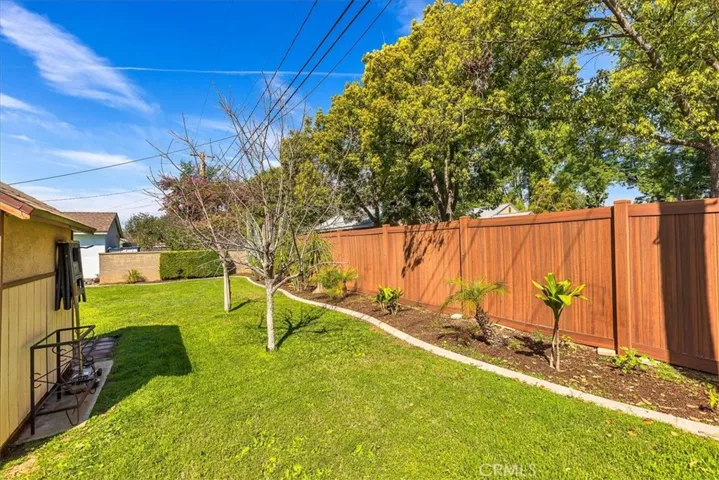 Side yard, shed on the left and two plumeria trees