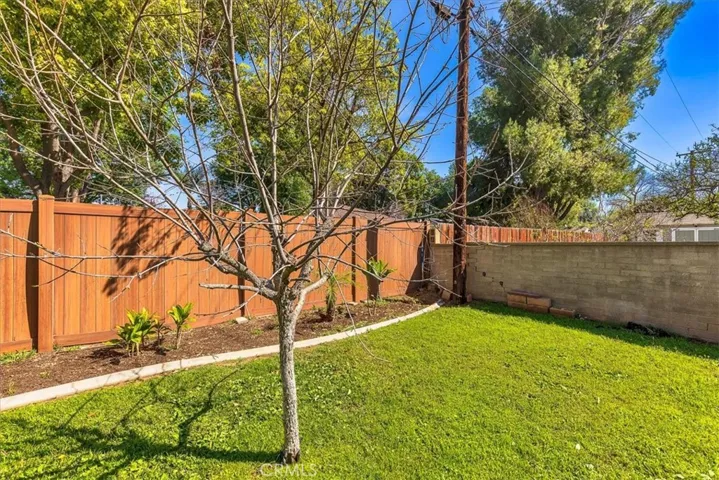 Block wall and wood fencing with a plumeria tree