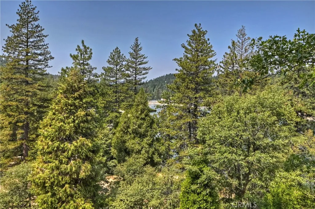 24445 San Moritz Drive, Crestline, California 92325 home-pic-44