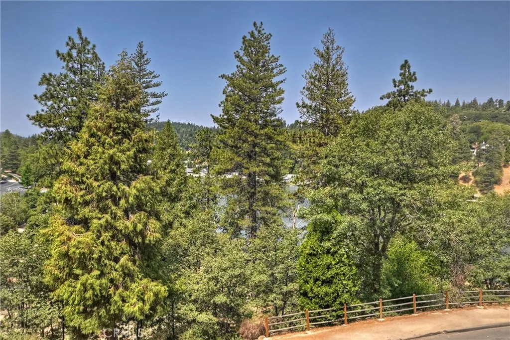 24445 San Moritz Drive, Crestline, California 92325 home-pic-36