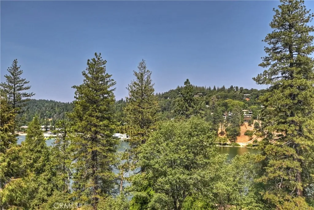 24445 San Moritz Drive, Crestline, California 92325 home-pic-43