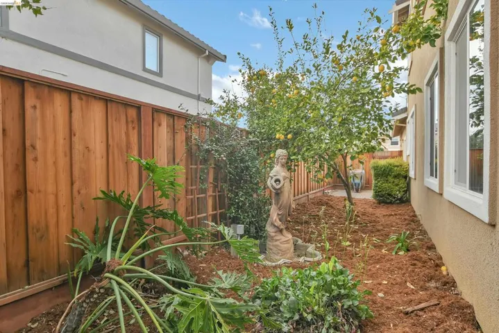 View of fenced backyard