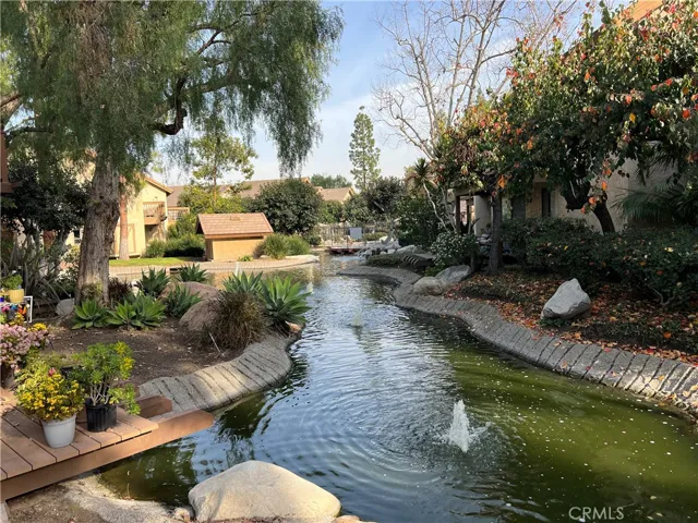 Feel the ZEN .......