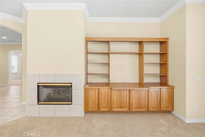 Fireplace & Built-in
