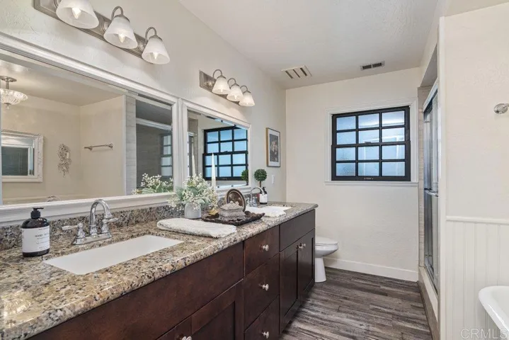 Lower level master bathroom