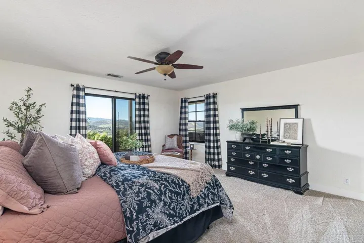 Lower level master bedroom