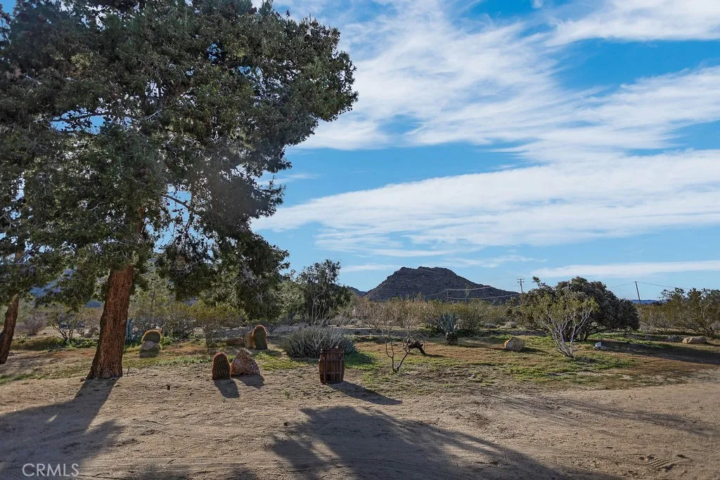 8173 Fleur Drive, Joshua Tree, California 92252 home-pic-47