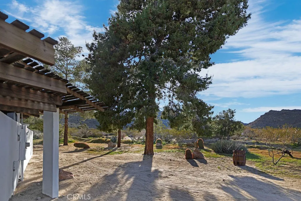 8173 Fleur Drive, Joshua Tree, California 92252 home-pic-46