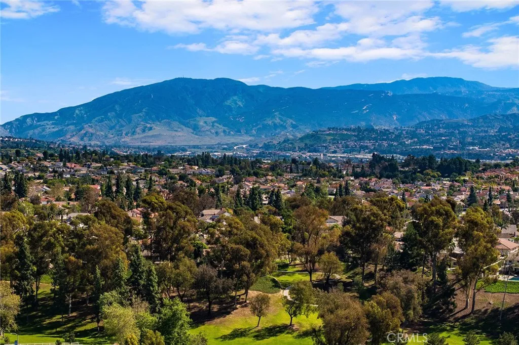 19841 Lombardy Lane, Yorba Linda, California 92886 home-pic-55