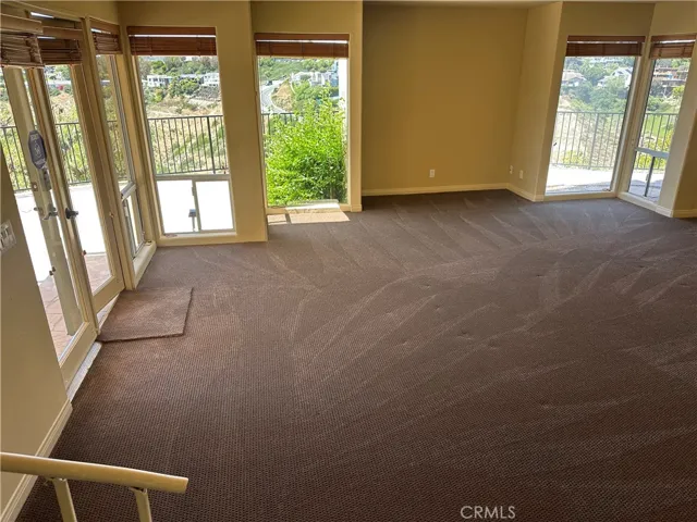 Entertainment room/gym lower level.