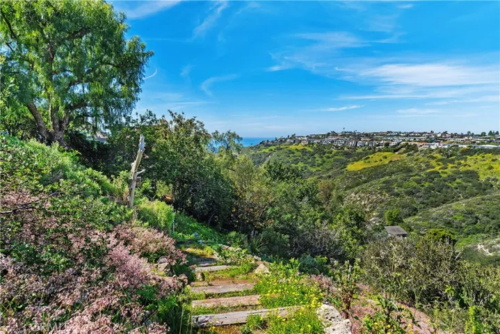 Backyard view