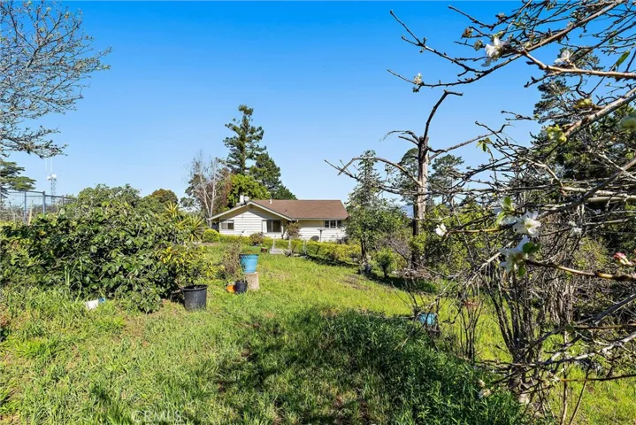 1909 Pineridge, Cambria, California 93428