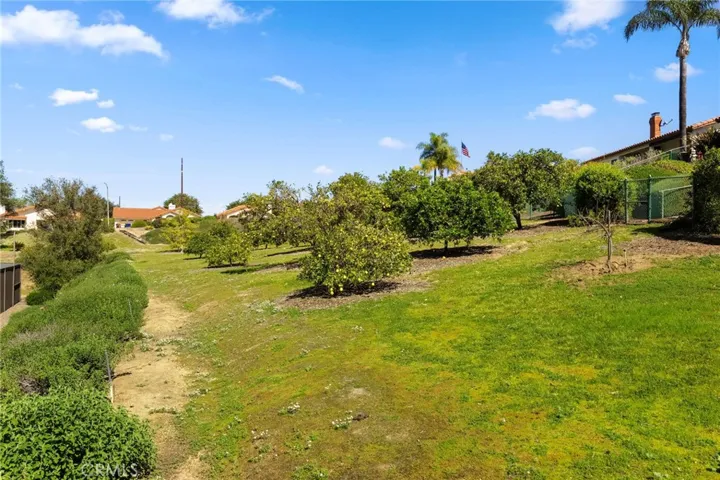 Community Orchard