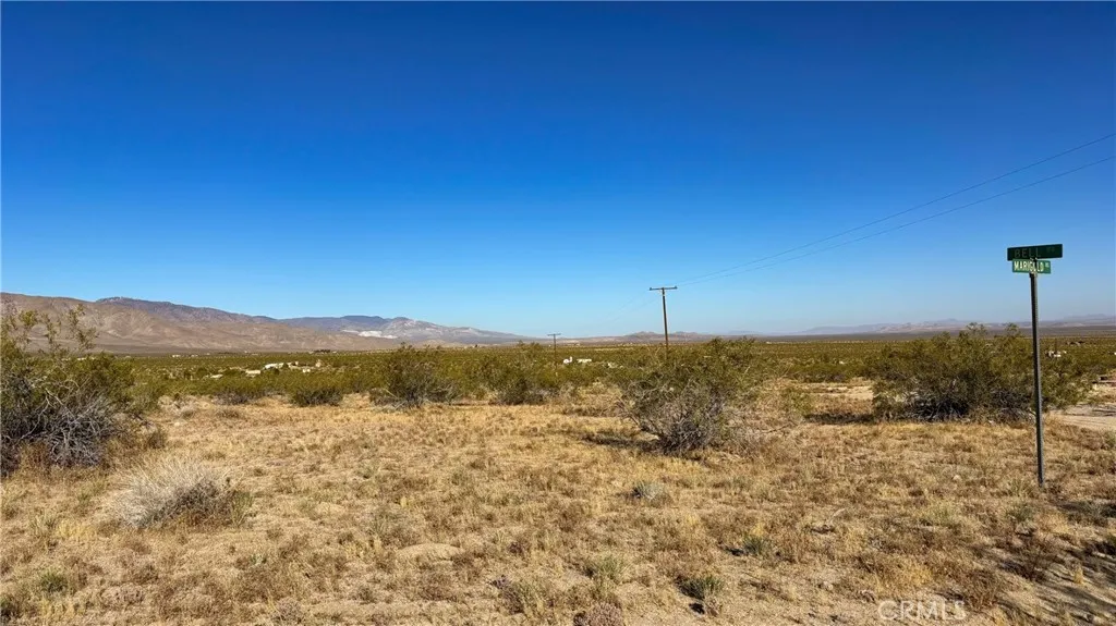 Red boundary lines on pictures are an estimate and for marketing purposes only. Buyer to verify all aspects of this property including, but not limited to utilities, assessments, boundaries, usage, access, and zoning to satisfy themselves.