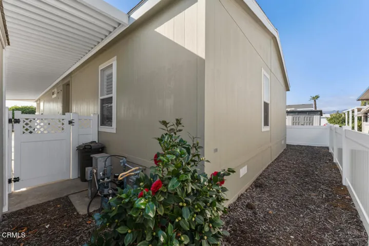 Fenced Yard