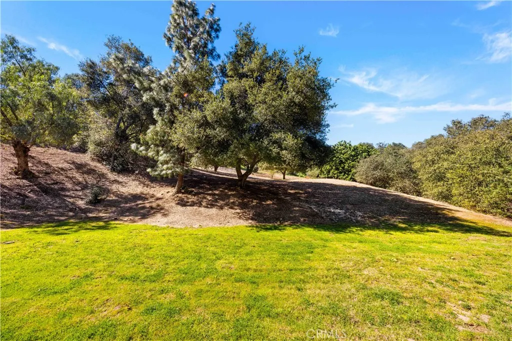 15930 Esquilime, Chino Hills, California 91709 home-pic-57