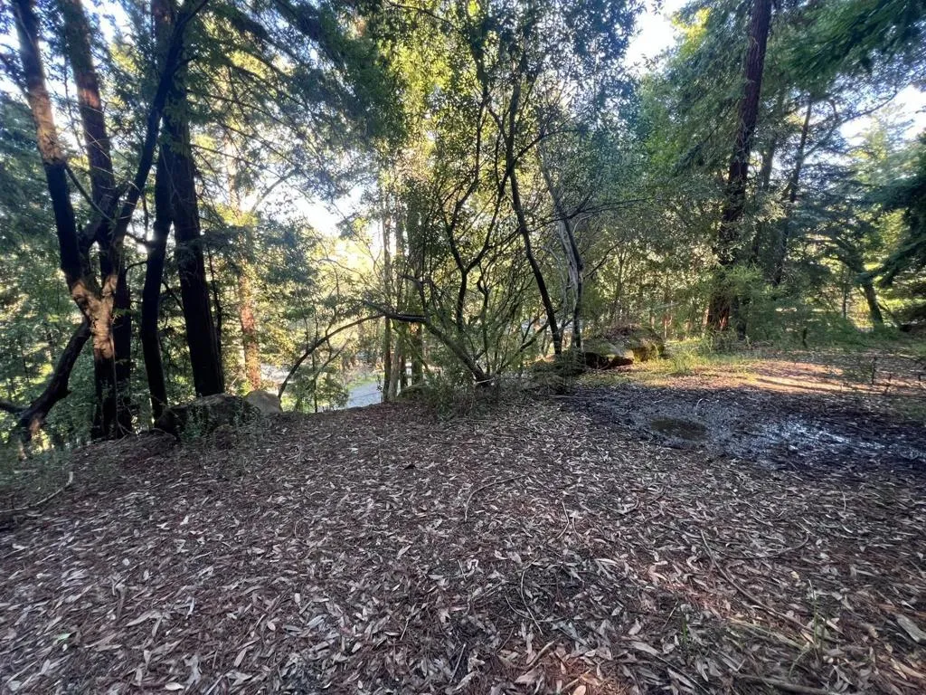 559 Patrol Rd