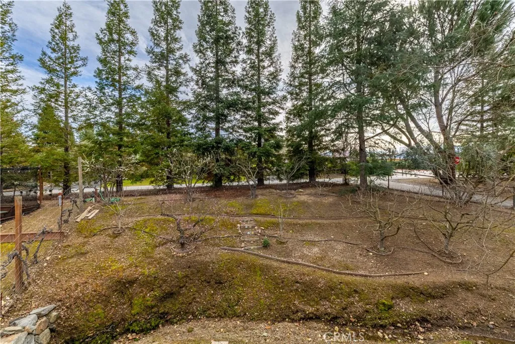 1235 Shane Lane, Templeton, California 93465 home-pic-45