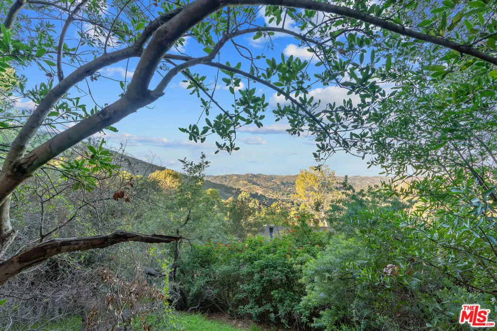 20675 Medley Lane, Topanga, California 90290 home-pic-41