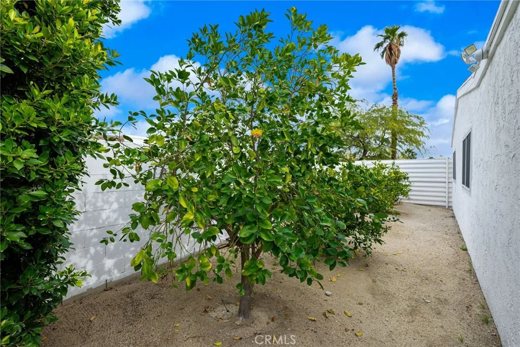 2303 N Magnolia, Palm Springs, California 92262 home-pic-43