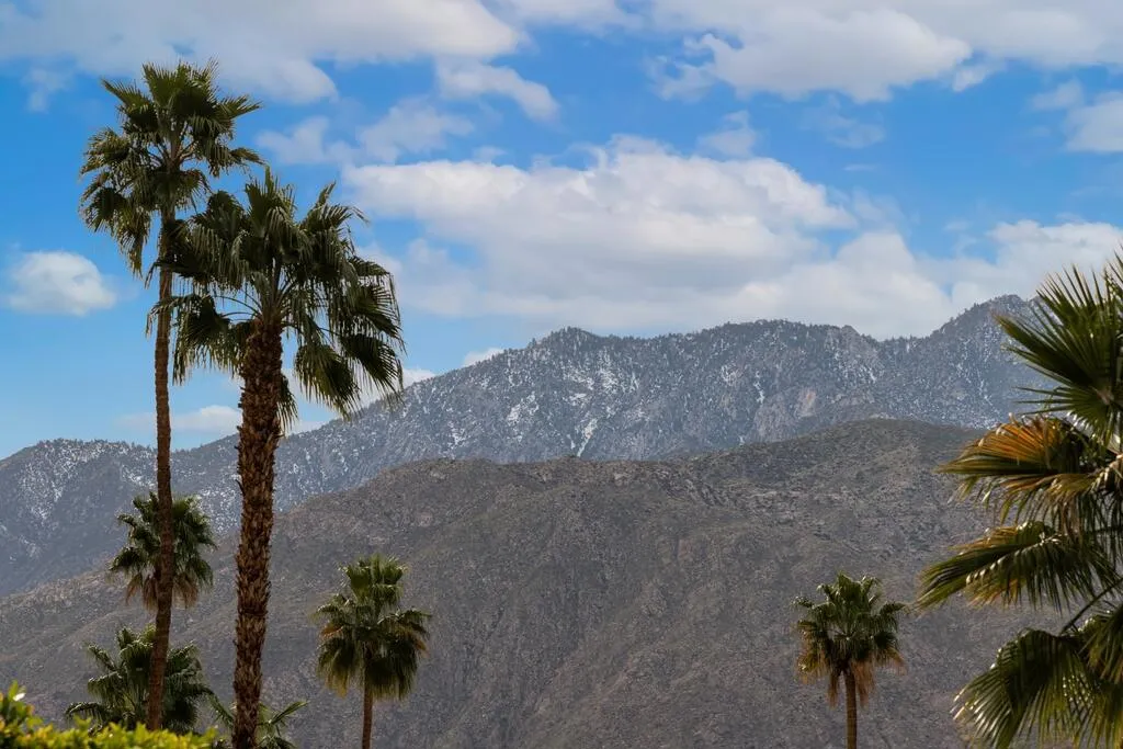 282 N Orchid Tree Lane, Palm Springs, California 92262 home-pic-38