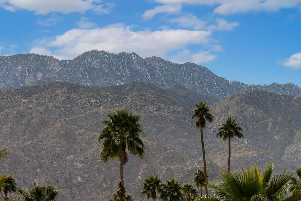 282 N Orchid Tree Lane, Palm Springs, California 92262 home-pic-39