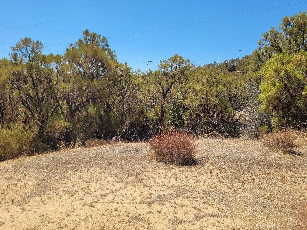 0 Terwilliger Road, Anza, California 92539 — photo 4