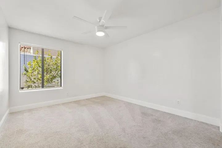50-web-or-mls-8M4A2595