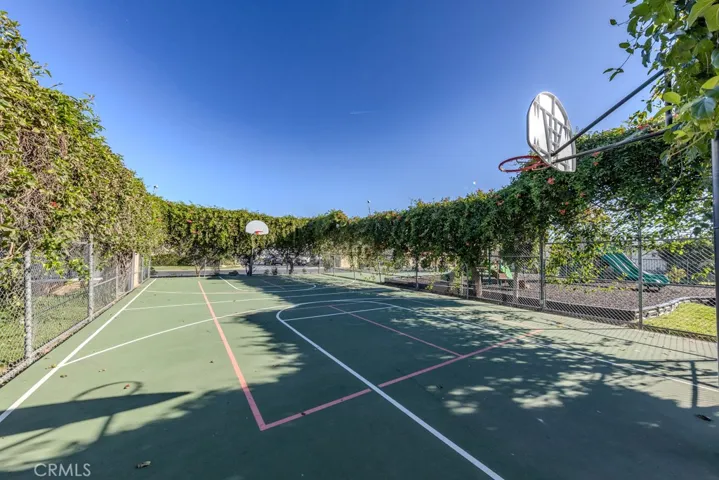 Basketball Court