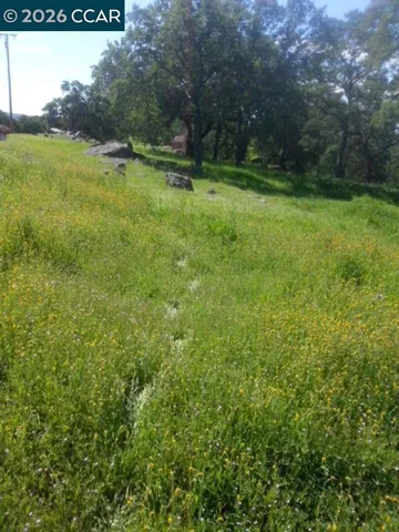 View south along the road with Power Pole out front