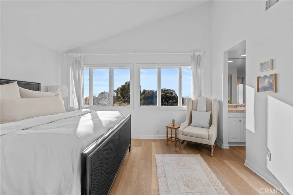 33341 Gelidum Circle, Dana Point, California 92629 home-pic-27