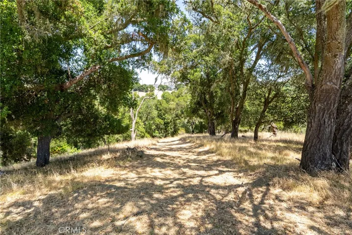 Surrounded by majestic oak trees.