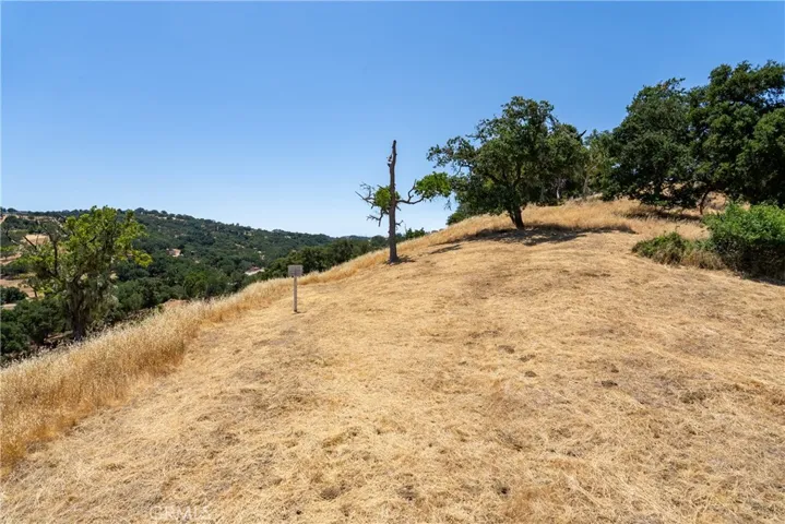 Cleared potential building area.