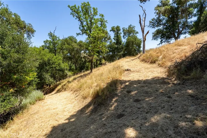 Rough-cut path takes you to the top.