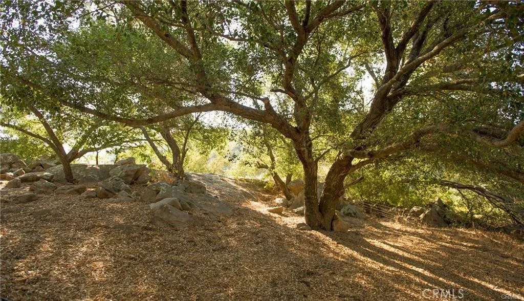12145 Twin Springs Road, Descanso, California 91916 home-pic-15