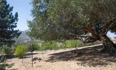 12145 Twin Springs Road, Descanso, California 91916 home-pic-16
