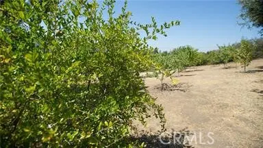 12145 Twin Springs Road, Descanso, California 91916 home-pic-17