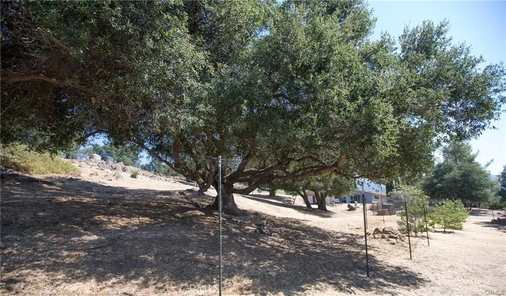 12145 Twin Springs Road, Descanso, California 91916 home-pic-14